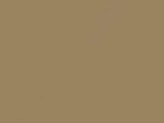 Volkswagen Safari touch up paint 7D 2019 Beetle