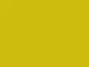 Yellow Peel touch-up paint for Ford, code 1ECAWHA, 7451, CB, 2021