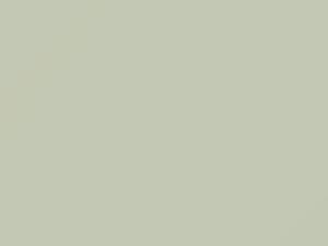 Mercedes-Benz C Class Arctic White touch up paint 650 2011 ClassC