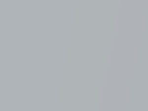 Space White Pearl touch-up paint for Ford, code 1WMEWHA, 7459, A3, 2021