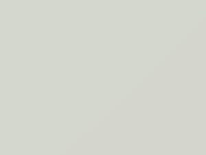 Taffeta White touch-up paint for Honda Spirior, code NH578, 2011