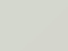 Taffeta White touch-up paint for Honda Pilot, code NH578, 2001