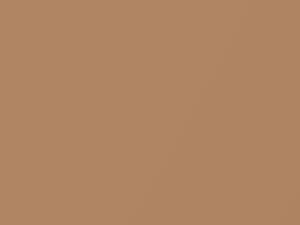 Reddish Beige Metallic touch-up paint for Mitsubishi, code CMS10042, S42, 2015