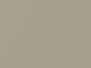 Champagne Beige Metallic touch-up paint for Hyundai Genesis, code ZT, 2009