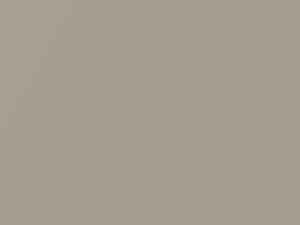 Volkswagen Bolero Beige Metallic touch up paint K6 2017 C-Trek