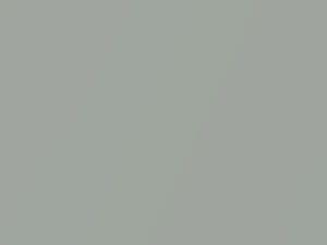 Janus Silver Metallic touch-up paint for Hyundai Tiburon, code SU, 2005