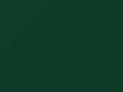 British Racing Green Metallic 4 touch-up paint for Mini Countryman, code C3B, 2020