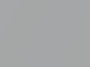 Bright Silver Metallic touch-up paint for Dodge Dakota, code AU107WSB, AY96WSB, 2007