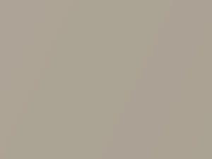 Cashmere Pearl touch-up paint for Dodge Promaster, code AY112KFS, KFS, PFS, 2019