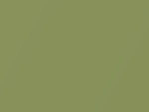 Energy Green Metallic touch-up paint for Smart Fortwo, code CC5L, ECD, 2016