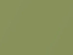 Energy Green Metallic touch-up paint for Smart Fortwo, code CC5L, ECD, 2016