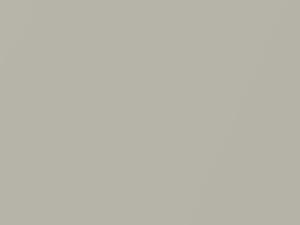 Shimmering Sand Mica touch-up paint for Mazda Mazda3, code 24E, 2009
