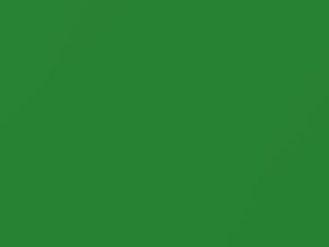 Apple Green Metallic touch-up paint for Bentley Continental, code 6628, 9560196, 2013