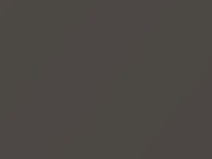 Charcoal Gray Metallic touch-up paint for Toyota, code 1000000, 2005