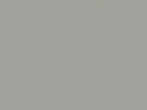 Light Tarnished Silver Metallic touch-up paint for Suzuki XL-7, code 433P, 67, ZFZ, 2007