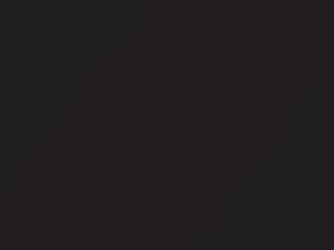 BMW Jatoba Metallic touch up paint B65 2018 M7