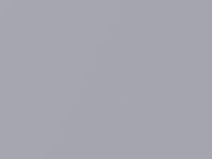 Silver Gray Metallic touch-up paint for Ford Police Car, code 2813, M2813A, MNSCWHA, 2018