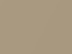 Desert Sand Mica touch-up paint for Toyota Tundra, code U4Q2, 2004