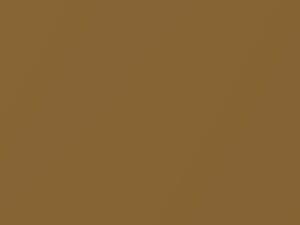 Oro Metallic touch-up paint for Ferrari, code 138364, 430, 2019