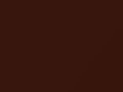 Dark Copper Metallic touch-up paint for Ford, code 7133, 2008