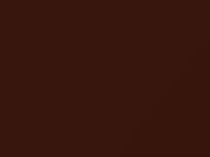 Dark Copper Metallic touch-up paint for Ford, code 7133, 2008