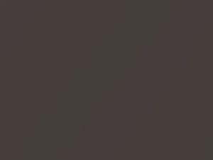 Rosewood Brown Metallic touch-up paint for Honda Spirior, code YR503M, 2015