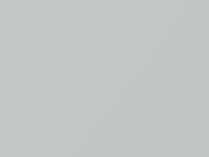 Oxford White touch-up paint for Ford F650, code 023, 41 + alternatives, 2017