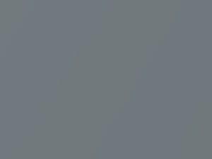 Precision Gray Metallic touch-up paint for Nissan Altima, code W40, 2007