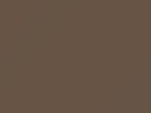 Mojave Sand touch-up paint for Dodge, code AY110KTA, KTA, PTA, 2017