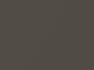 Driftwood Metallic touch-up paint for Mazda Miata, code 11B, 1998