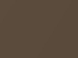 Caffe Mocha Metallic touch-up paint for Kia, code C5M, 2010