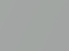 Sunlight Silver Metallic touch-up paint for Ford, code 22V, 2016