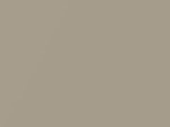 Beige Metallic touch-up paint for Nissan, code C42, 2020