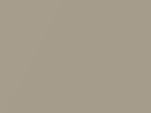 Beige Metallic touch-up paint for Nissan, code C42, 2007