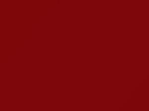 Race Red touch-up paint for Ford, code 7236, 7X7 + alternatives, 2021