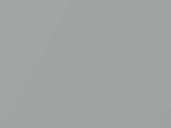 Platinum Silver Metallic touch-up paint for Nissan, code PSE, 2007