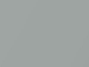 Platinum Silver Metallic touch-up paint for Nissan, code PSE, 2007