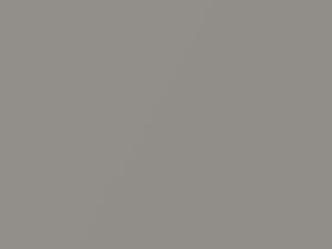 Pewter Metallic touch-up paint for Kia Rio, code C3, 2002