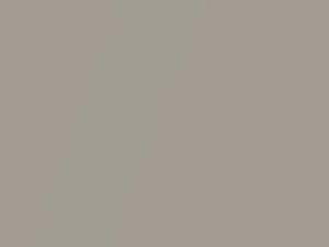 Audi Vicuna Beige Metallic touch up paint 5Q 2021 Q7
