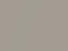 Audi Vicuna Beige Metallic touch up paint 5Q 2021 Q8