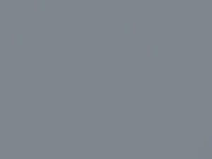 Silver Frost Metallic touch-up paint for Honda Accord, code NH695M, 2006