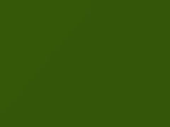 Challenger Green Go touch-up paint for Dodge, code 200619, AY110MGM, MGM, 2021