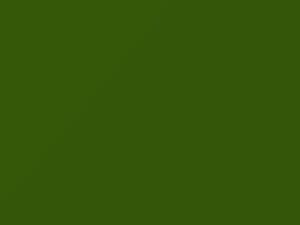 Green Go touch-up paint for Dodge Charger, code 200619, AY110MGM, MGM, 2020