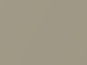 Tuscan Beige Metallic touch-up paint for Honda Civic, code YR575M, 2003