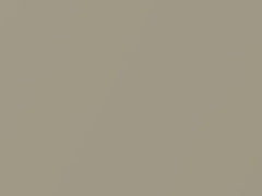 Tuscan Beige Metallic touch-up paint for Honda Civic, code YR575M, 2003