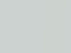 Audi Gletscherweiss Pearl touch up paint 2Y 2019 RS7