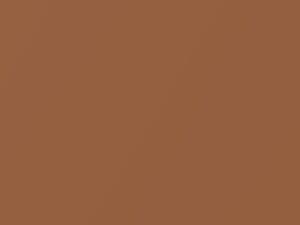 Zest Brown Metallic touch-up paint for Chevrolet, code 440N, 94U, WA440N, 2010