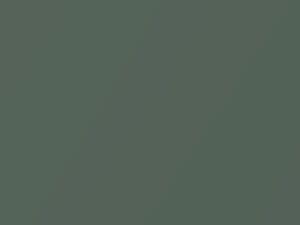 Quartz Green Metallic touch-up paint for Hyundai H200, code ZG, 2005