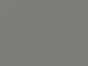 Argento Metallic touch-up paint for Ford, code 678, 6PPC, 2012