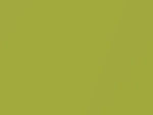 Peridot Metallic touch-up paint for Porsche, code 2S1, 7L, L2S1, 2011